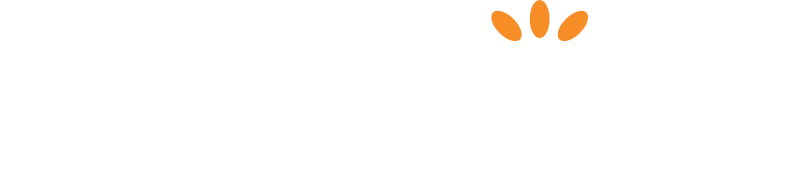 Bumedi